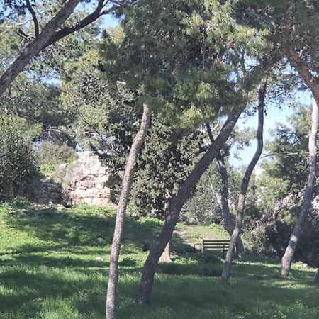 Marom Residence Romema Hajfa Zewnętrze zdjęcie